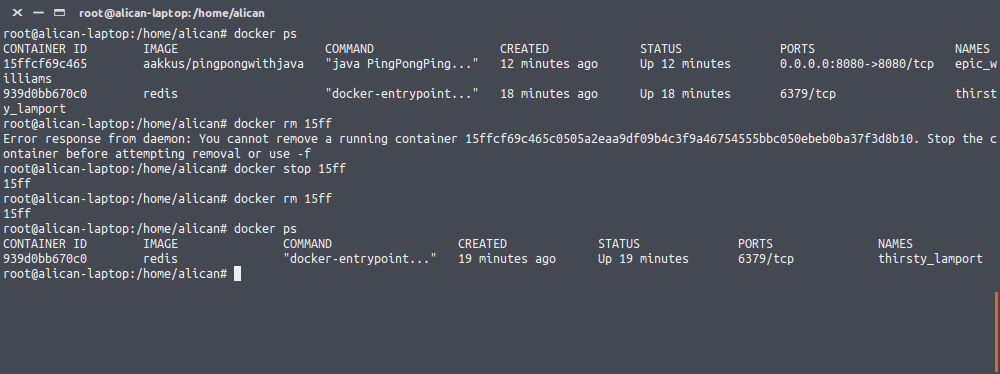 Docker Introduction aysever JavaMan